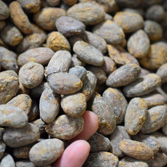 100% Arriba Cacao Cocoa Beans Chakra Certified