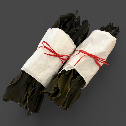 Bundle of kelp roots from Hokkaido