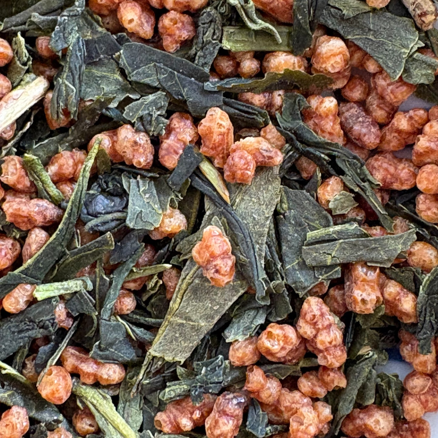 Katagi Kokoen ASAMIYA TEA Brown Rice Tea