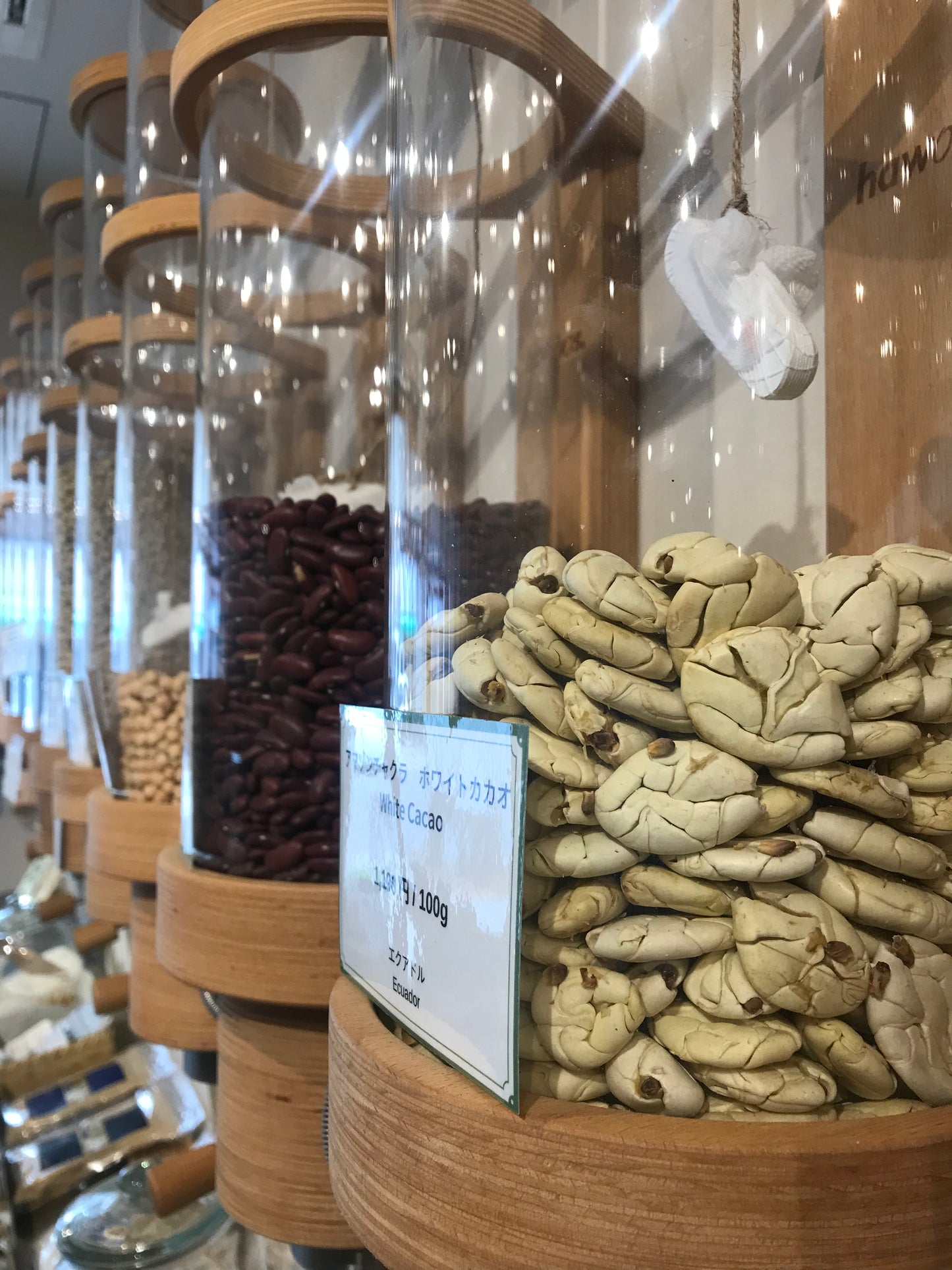 ”アマゾン ホワイトカカオ”マカンボ