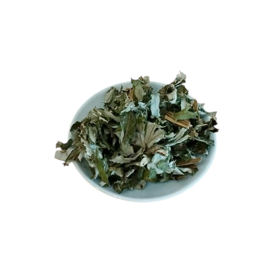 Mugwort tea