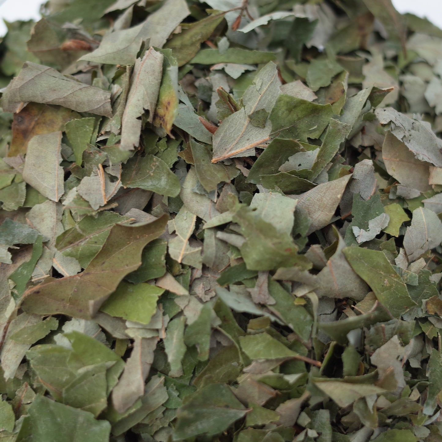 Kuromoji tea from Uda, Nara