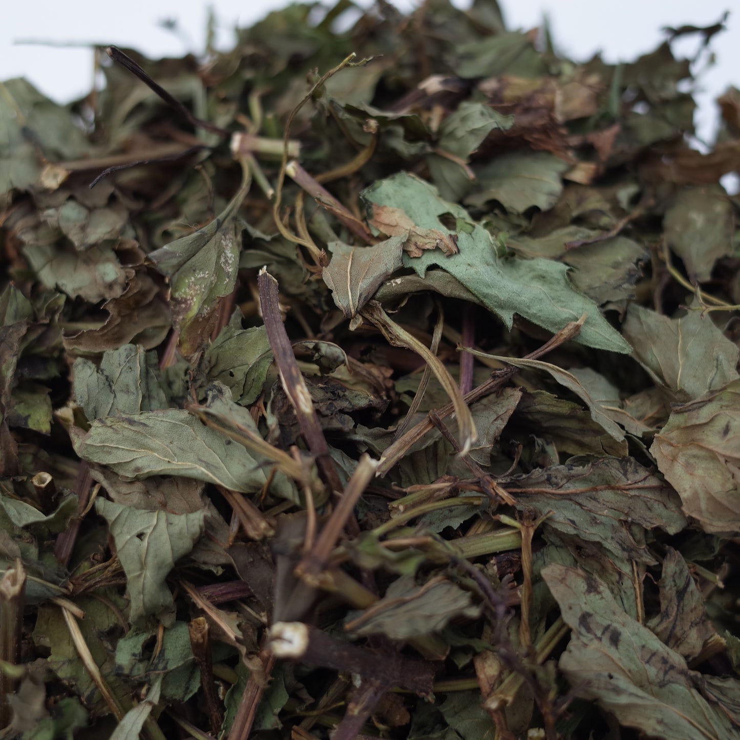 Uda Japanese peppermint tea from Nara