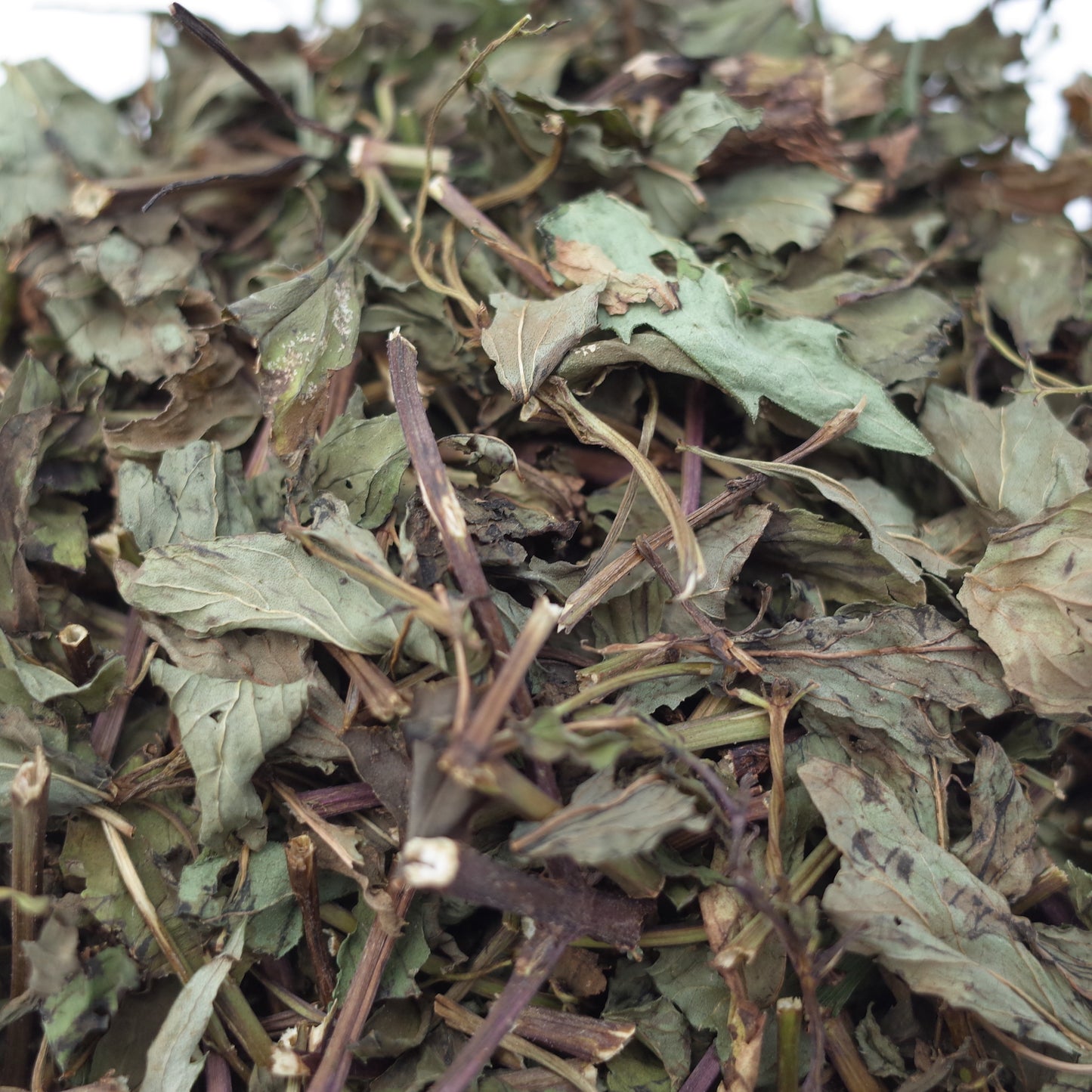 Uda Japanese peppermint tea from Nara