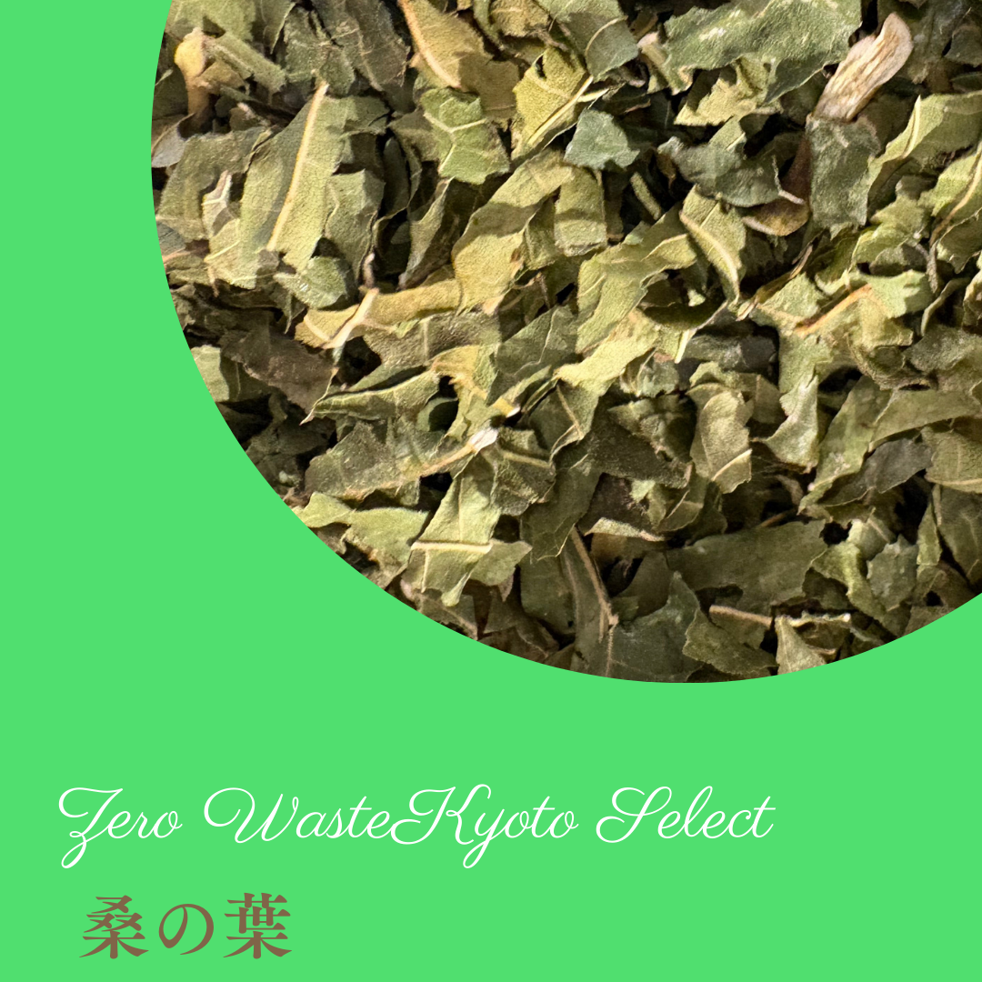 桑の葉茶