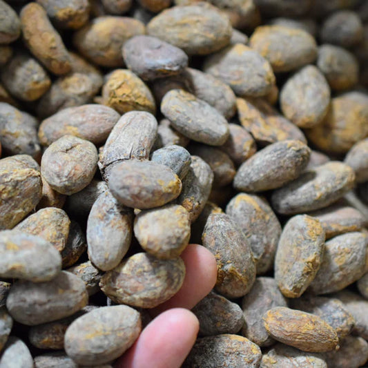100% Arriba Cacao Cocoa Beans Chakra Certified 