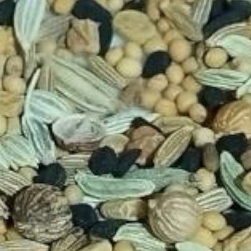 魔法のスパイス パンチフォロン