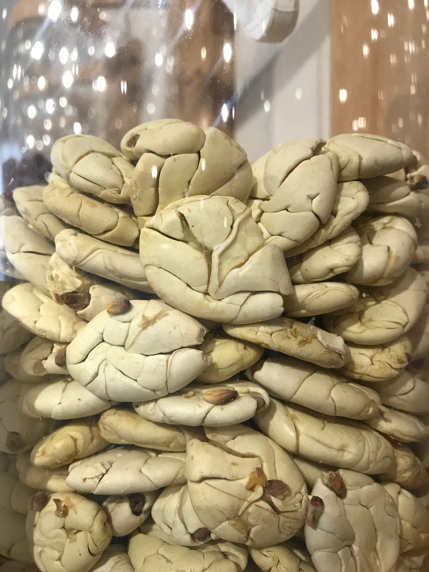 Amazon White Cacao Macambo